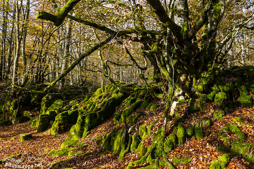 Parque Natural de Urbasa y Andia, Navarra