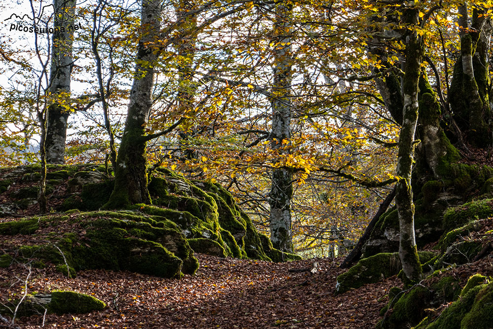 Foto: Parque Natural de Urbasa y Andia, Navarra