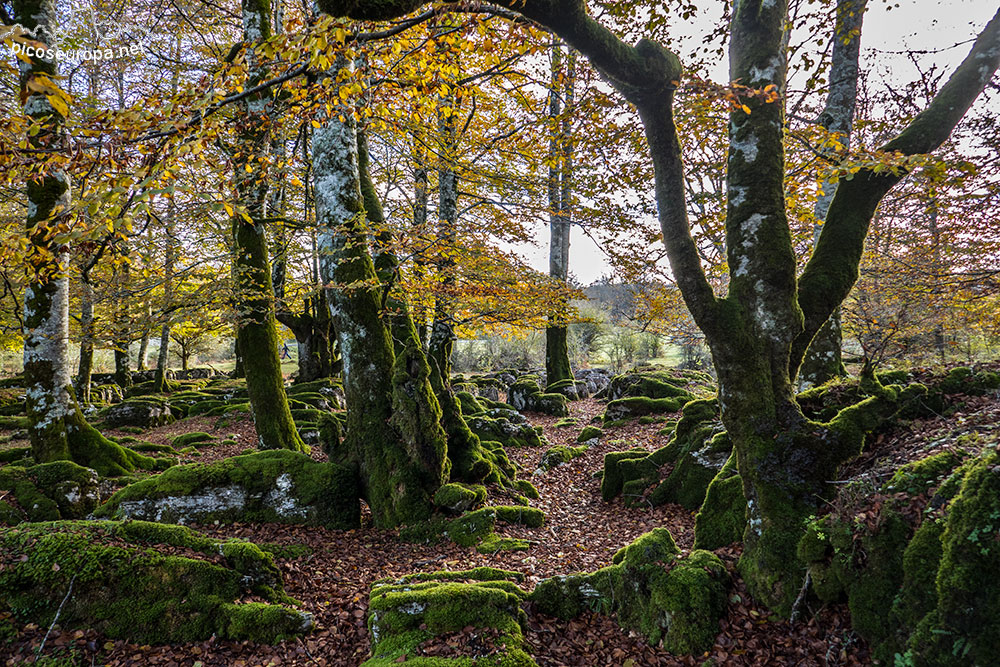 Foto: Parque Natural de Urbasa y Andia, Navarra