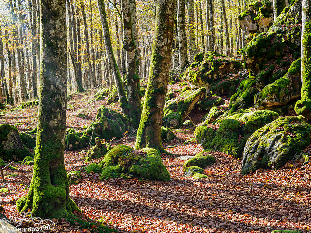 Parque Natural de Urbasa y Andia, Navarra