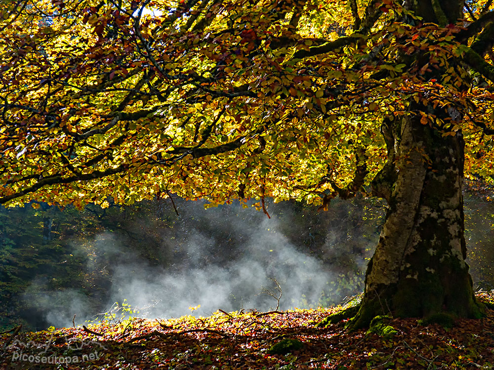 Foto: Parque Natural de Urbasa y Andia, Navarra