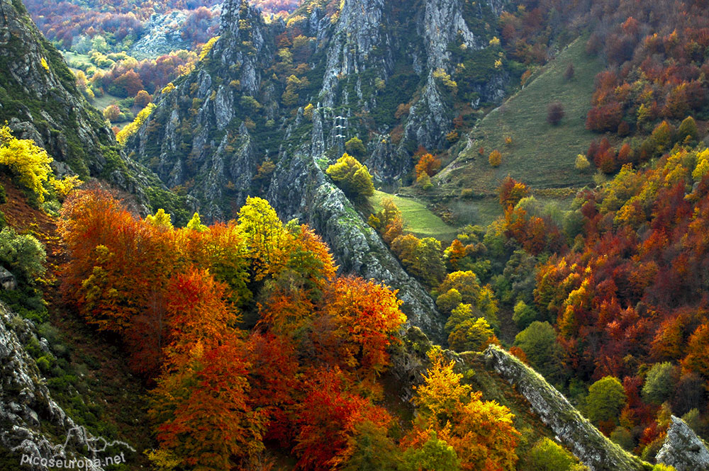 Mirador de Oseja de Sajambre, León, España