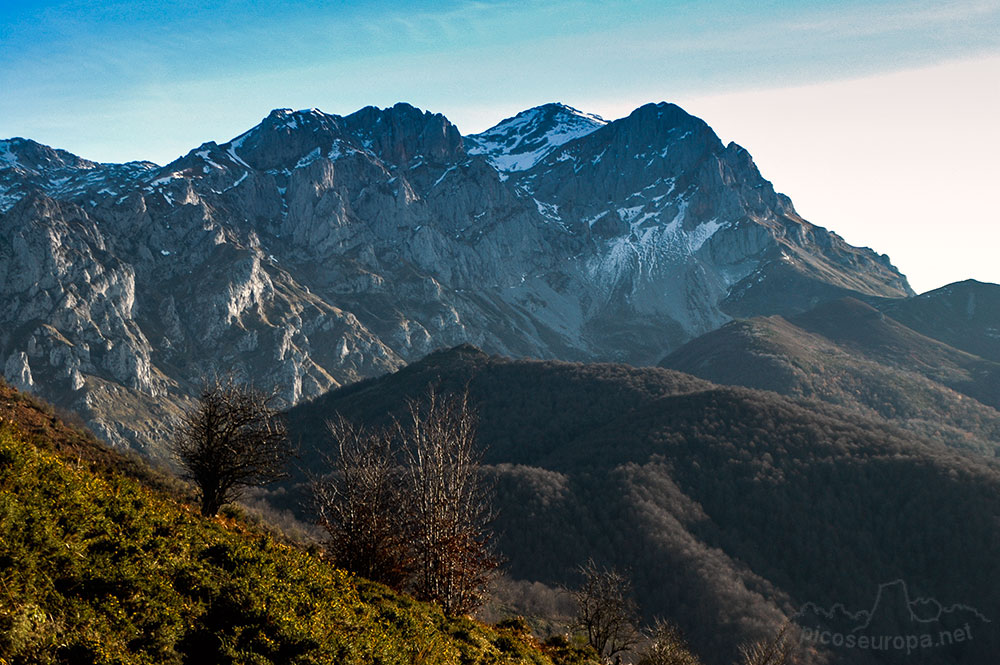 Soto de Sajambre, bosque Los Rocinos, León, Picos de Europa