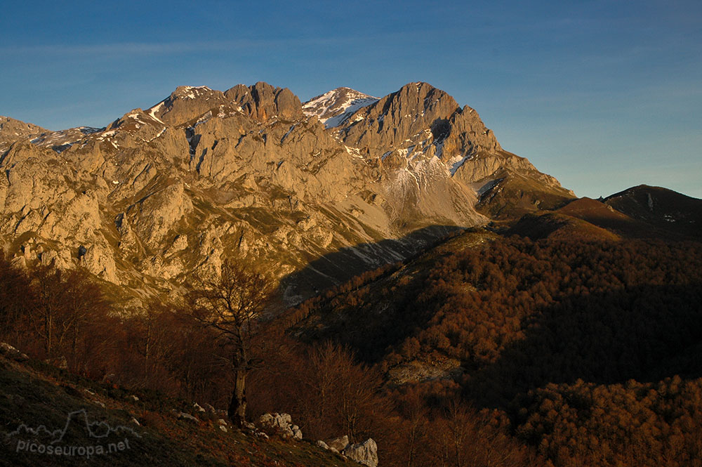 Soto de Sajambre, bosque Los Rocinos, León, Picos de Europa