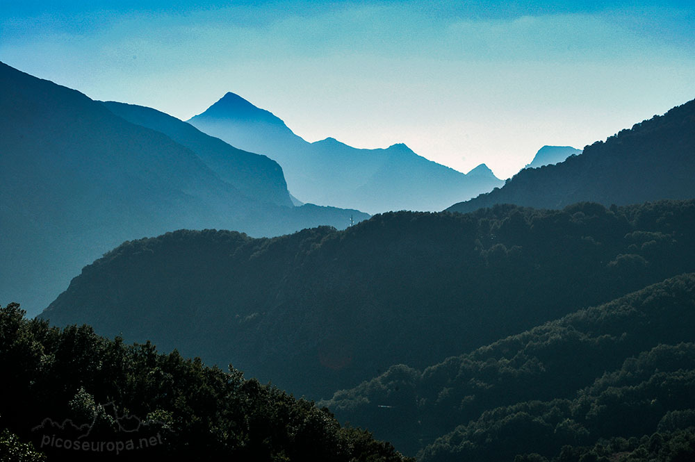 Soto de Sajambre, bosque Los Rocinos, León, Picos de Europa