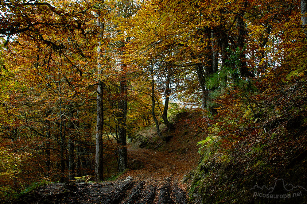 Foto: Sajambre, León, Macizo Occidental de Picos de Europa, Cornión