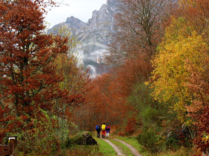 De Panderruedas a Posada de Valdeón, Valdeón, Macizo Occidental de Picos de Europa, León