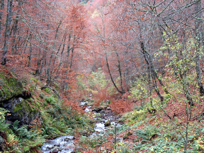 De Panderruedas a Posada de Valdeón, Valdeón, Macizo Occidental de Picos de Europa, León