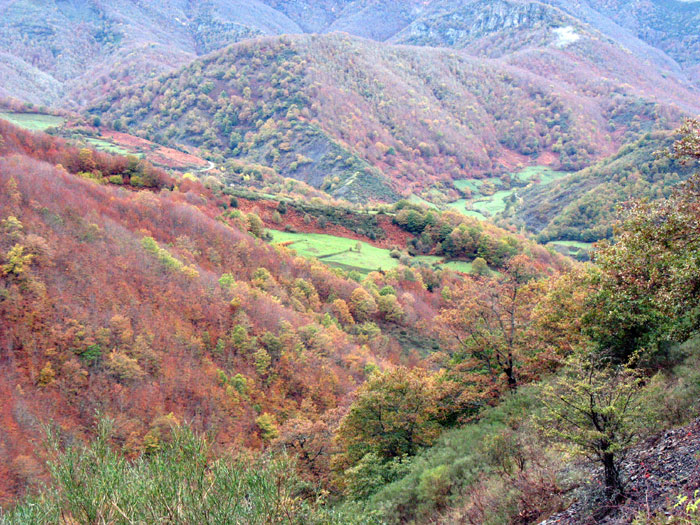 De Panderruedas a Posada de Valdeón, Valdeón, Macizo Occidental de Picos de Europa, León