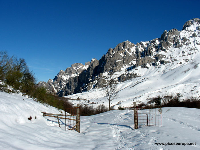 Foto: La pista que sube de Prada a la Majada de Montó, Valdeón, Picos de Europa, León