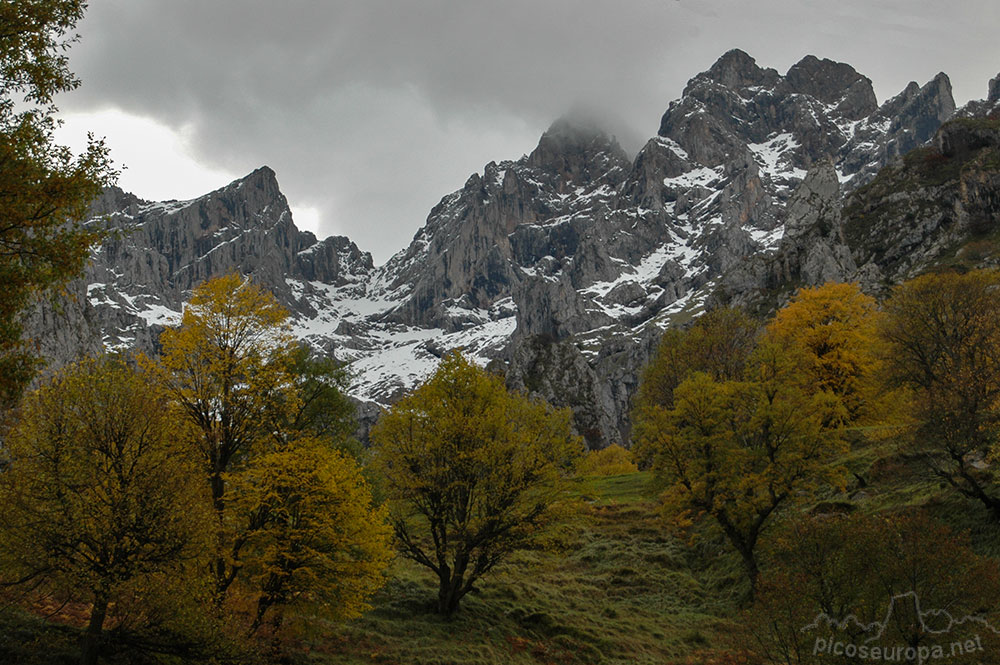 Canal de Moeño desde Cain, Picos de Europa, León, España