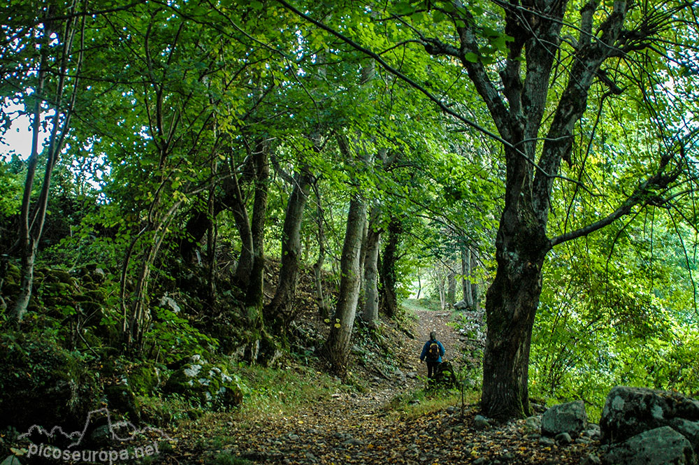 Ruta Posada de Valdeón a Cain, Picos de Europa, León, España