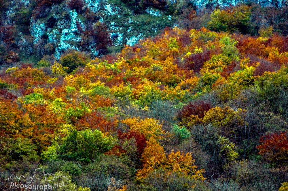 Ruta Posada de Valdeón a Cain, Picos de Europa, León, España