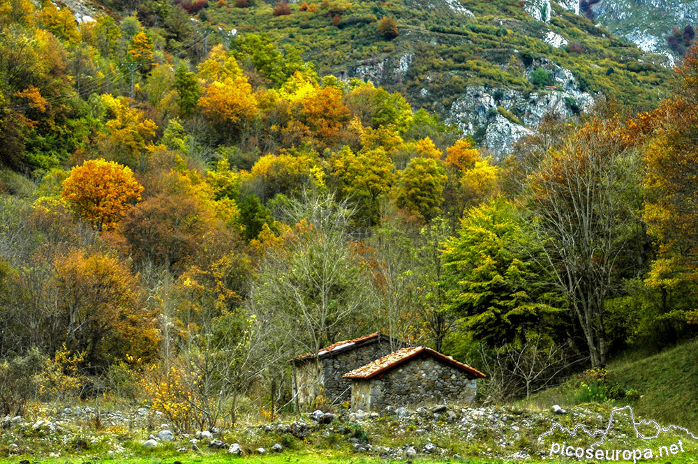 Ruta Posada de Valdeón a Cain, Picos de Europa, León, España