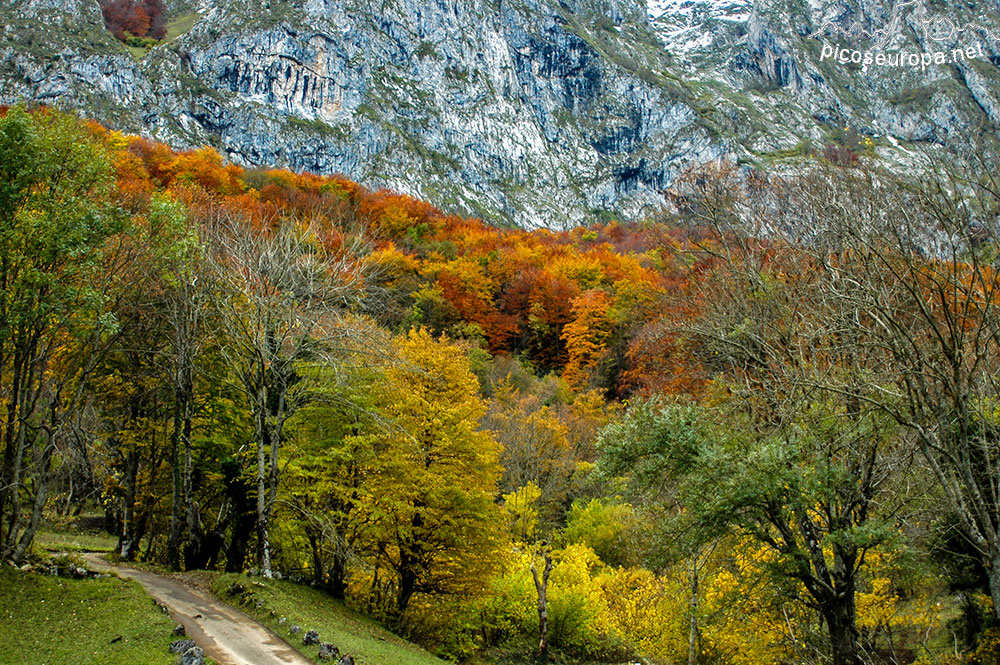 Ruta Posada de Valdeón a Cain, Picos de Europa, León, España